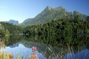 Aluguer de carros George