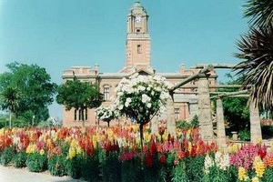 Aluguer de carros Harrismith