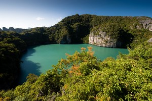 Aluguer de carros Surat Thani